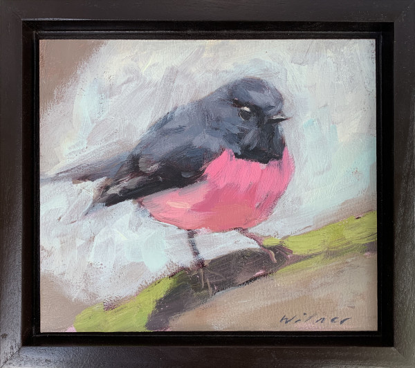pink robin by Amanda Wilner