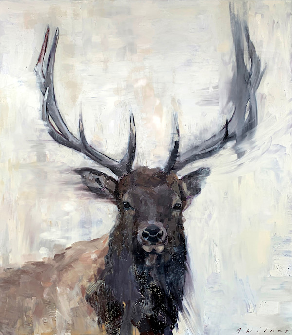 archival reproduction on stretched canvas by Amanda Wilner, Image 1.
