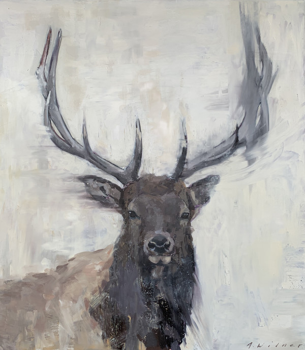 Elk - commission