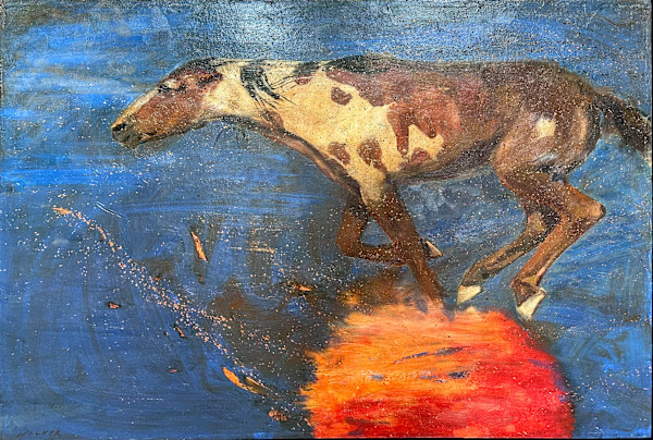 Super Nova by Amanda Wilner