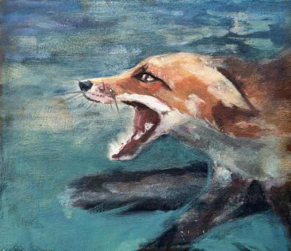 Angry Fox by Amanda Wilner
