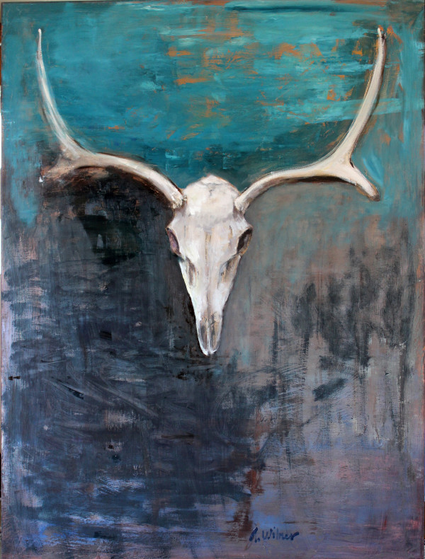 deer skull by Amanda Wilner
