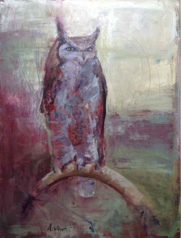 long eared owl by Amanda Wilner