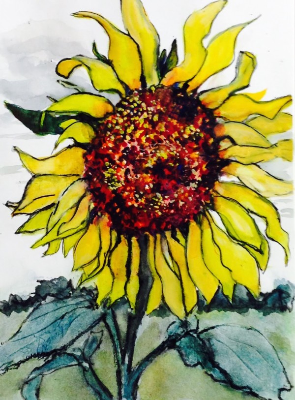 Sunflower with Black Pencil by Rebecca Zdybel