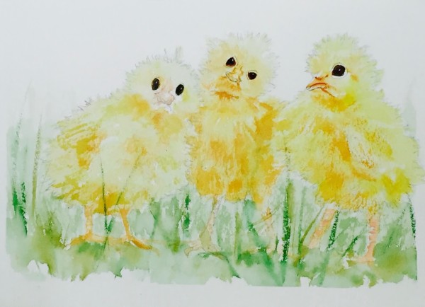 Chick Trio by Rebecca Zdybel