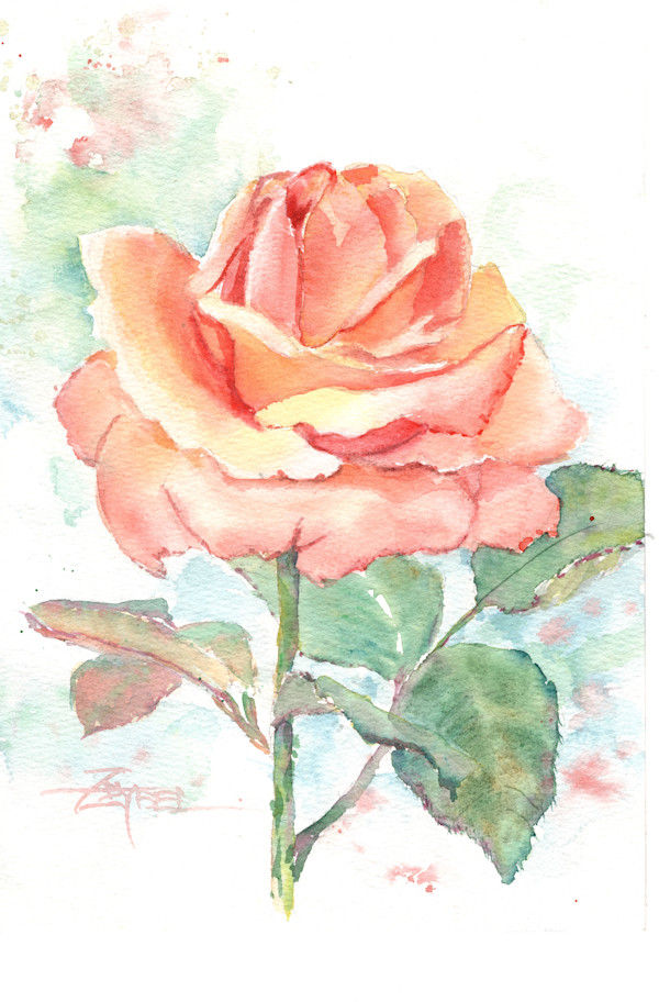 Apricot Rose by Rebecca Zdybel, Image 1.