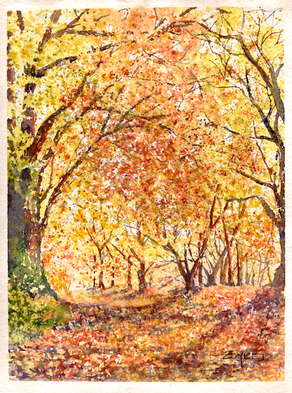 Beckoning Path by Rebecca Zdybel
