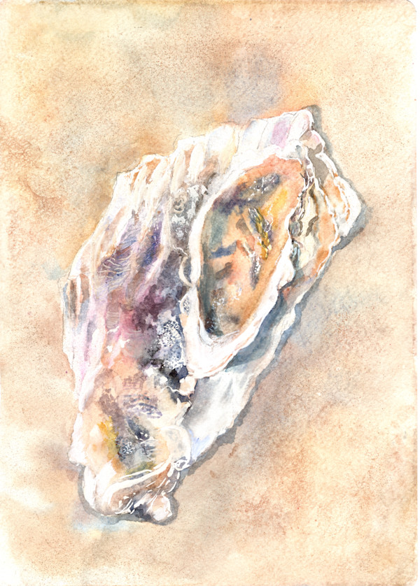 Conjoined Oysters- by Rebecca Zdybel, Image 1.