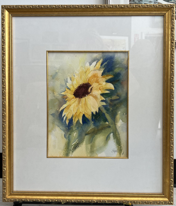 Sunflower in frame by Rebecca Zdybel