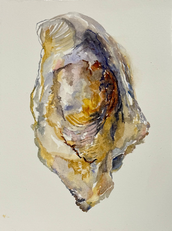 Oyster Feb 1 by Rebecca Zdybel