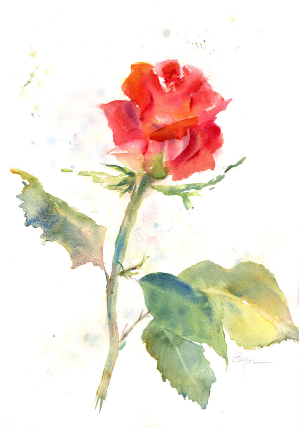 Roses Are Red by Rebecca Zdybel