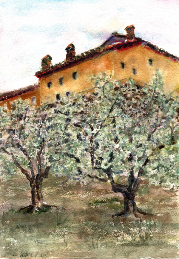 San Fedele- View From the Olive Grove by Rebecca Zdybel