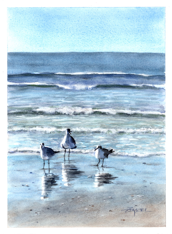 Seagulls on the Shore-3