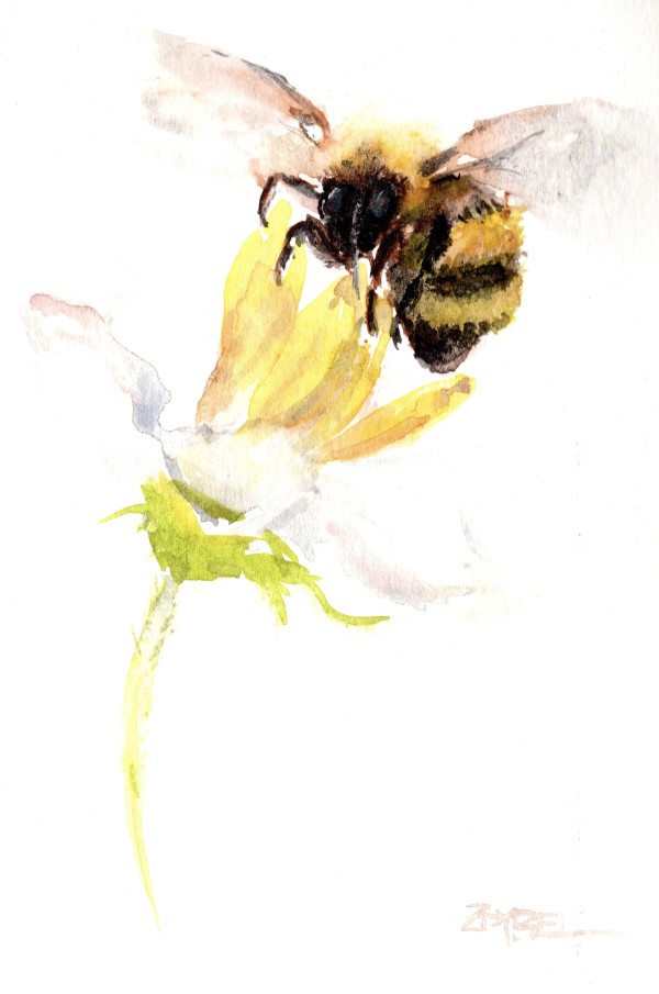 Bee on a White Flower by Rebecca Zdybel