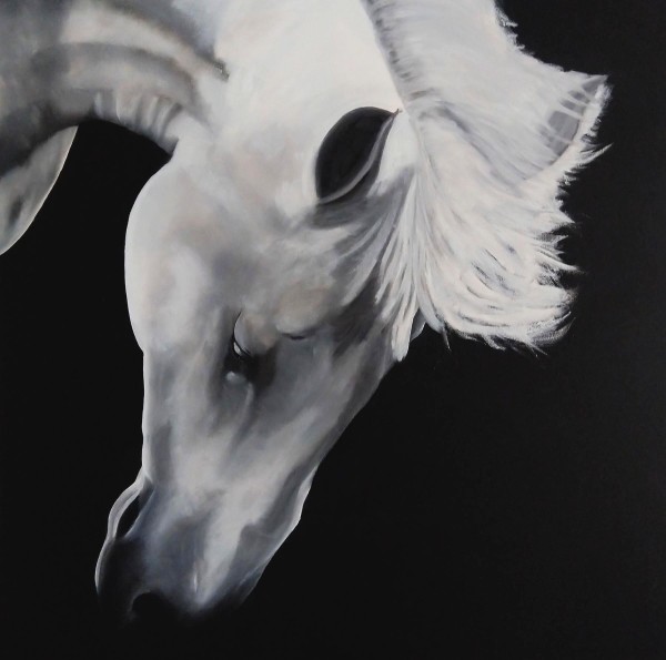 White Horse, Head Bowed by Valerie Timmons
