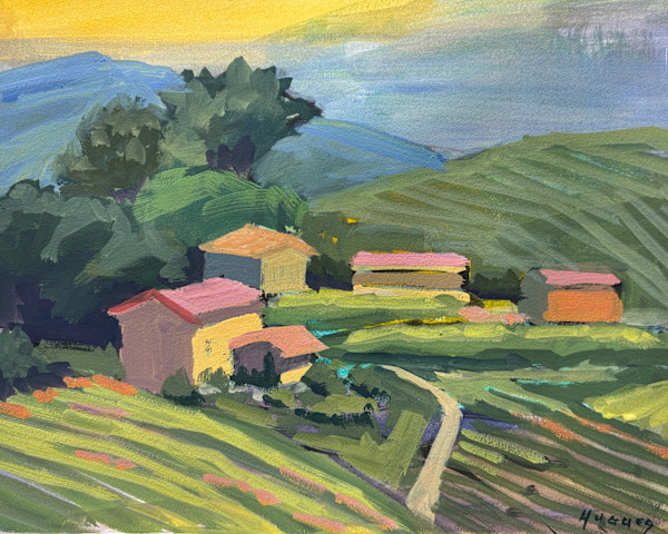 Vineyard Farm - Montelparo, Italy by Linda Hugues, Image 1.