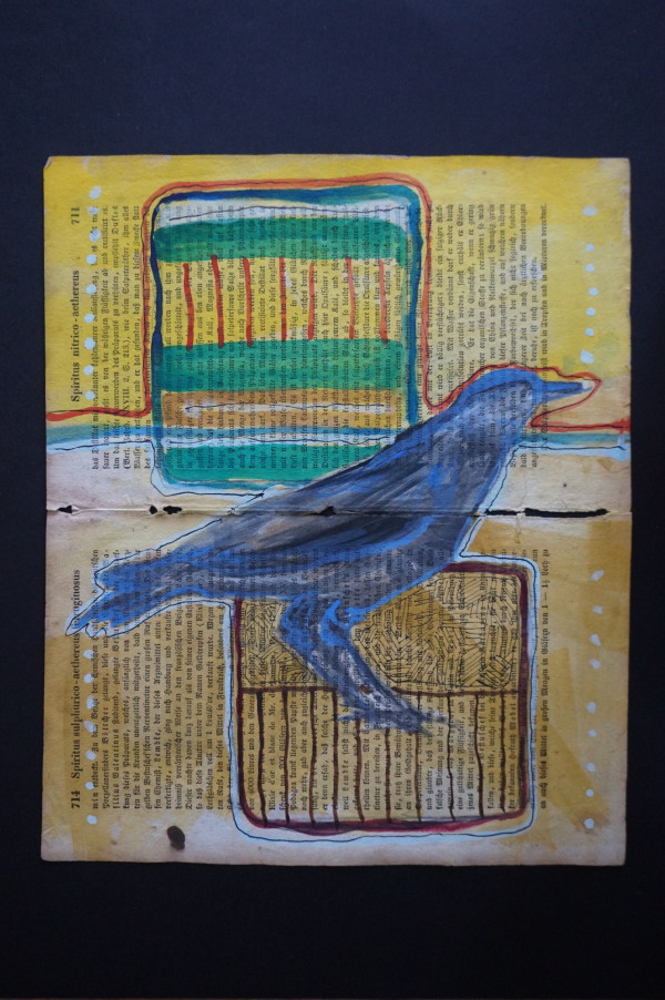 Crow with Squares by Eric Jones