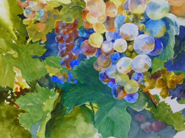 Young Grapes - Print by Chas Martin