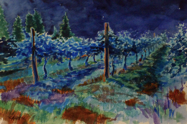 Midnight in the Vineyard by Chas Martin