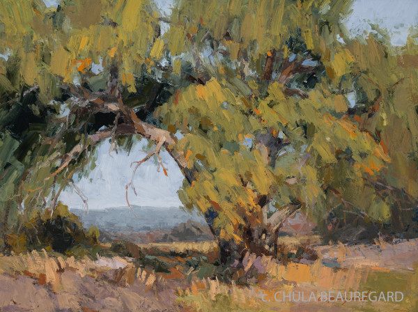 Bighorn Cottonwood by Chula Beauregard