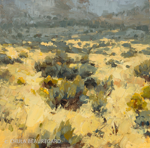 Bobcat Ranch by Chula Beauregard