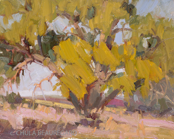 Cottonwood (Study) by Chula Beauregard