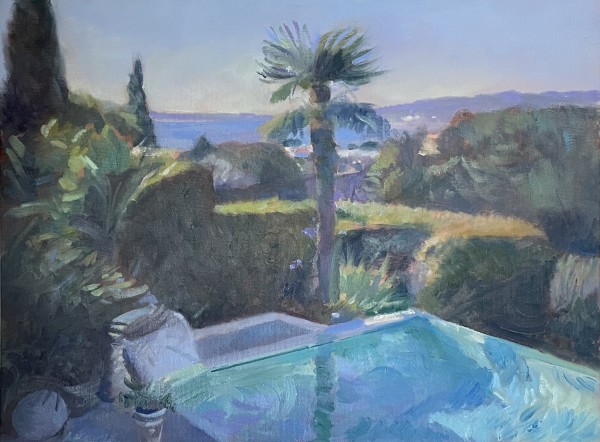 South of France Swimming Pool