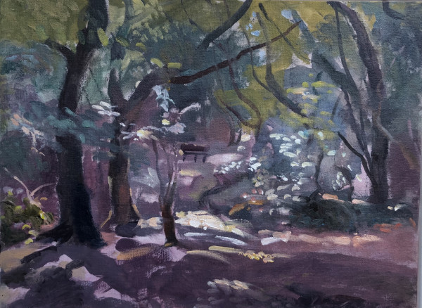 Queens Wood during Lockdown. Highgate. London by Alan Lancaster
