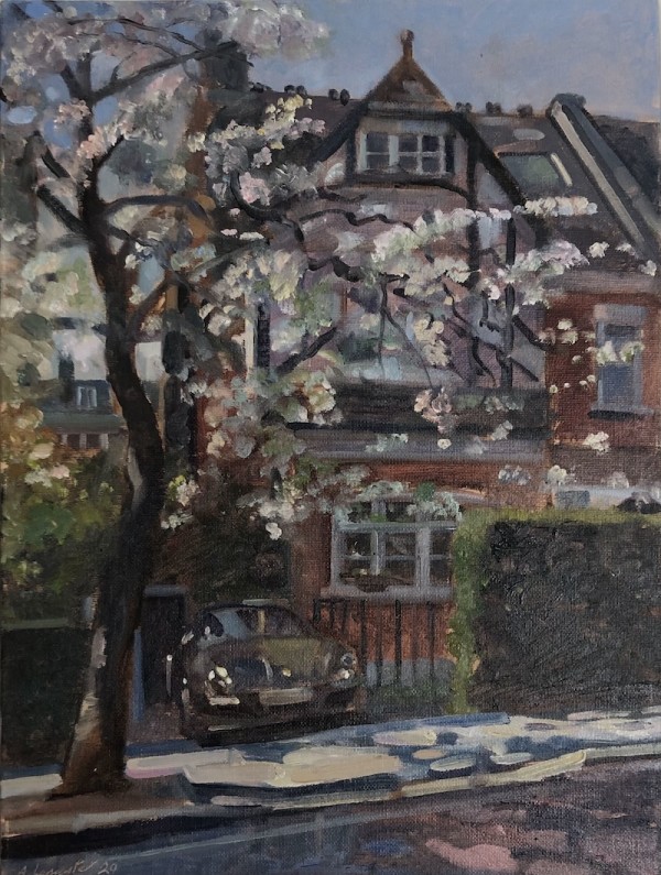 Porsche Boxter in the Shade of a Blossom Tree, 39 Cranley Gardens. London by Alan Lancaster