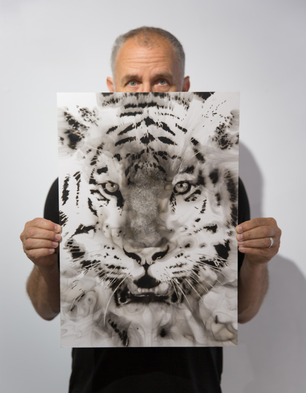 Tiger by Steven Spazuk