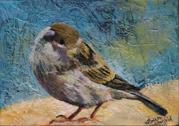Curious Sparrow by Sharron Schoenfeld