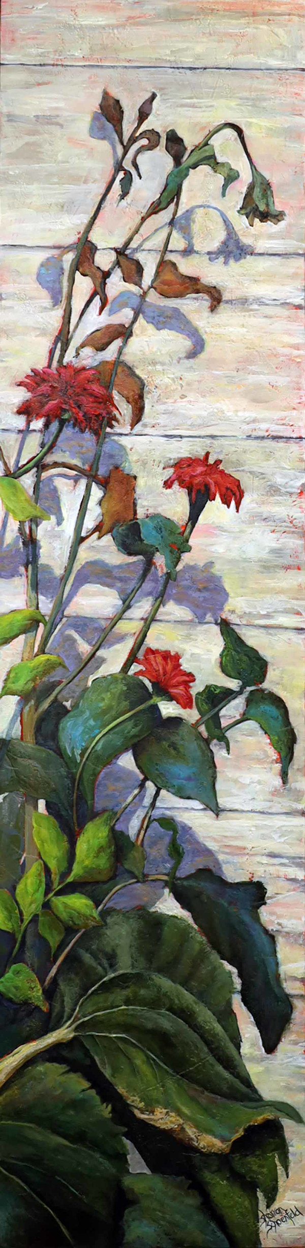Shadows in Bloom by Sharron Schoenfeld