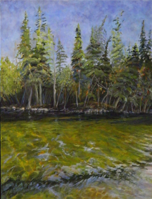 Shallow Cove East Trout Lake by Sharron Schoenfeld
