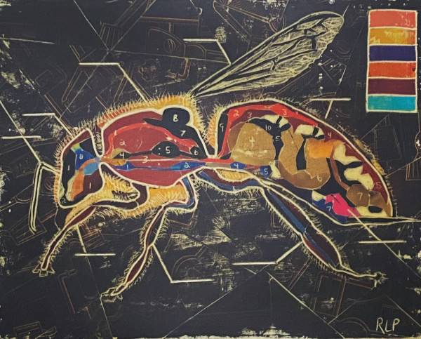 Bee Anatomy by Randy L Purcell