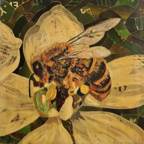 Untitled (Bee on White Flower) by Randy L Purcell