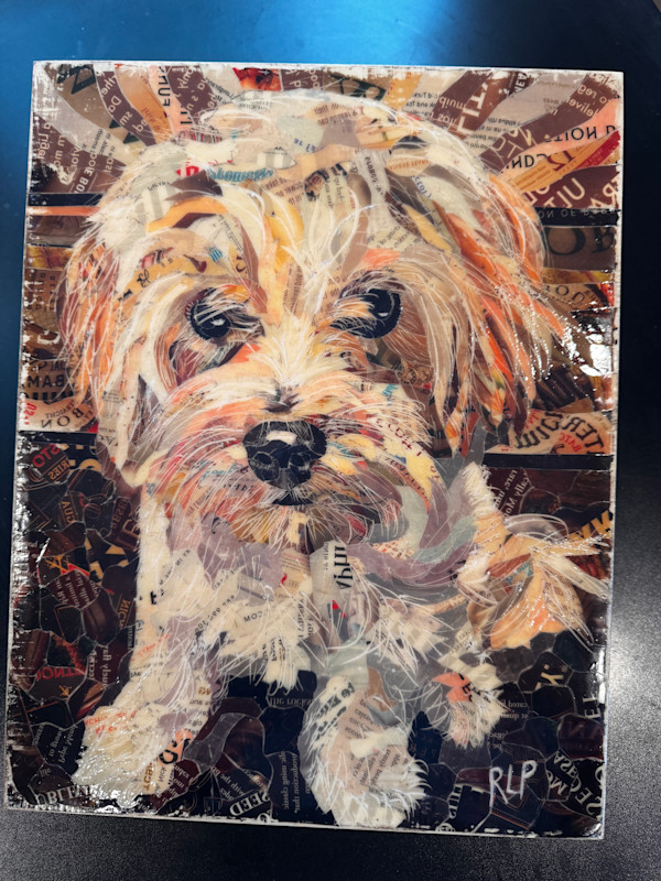Sophee by Randy L Purcell