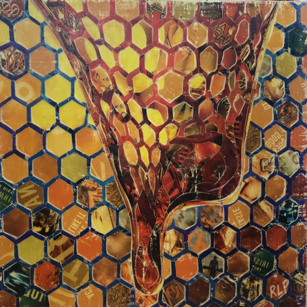 The Honey Drip by Randy L Purcell