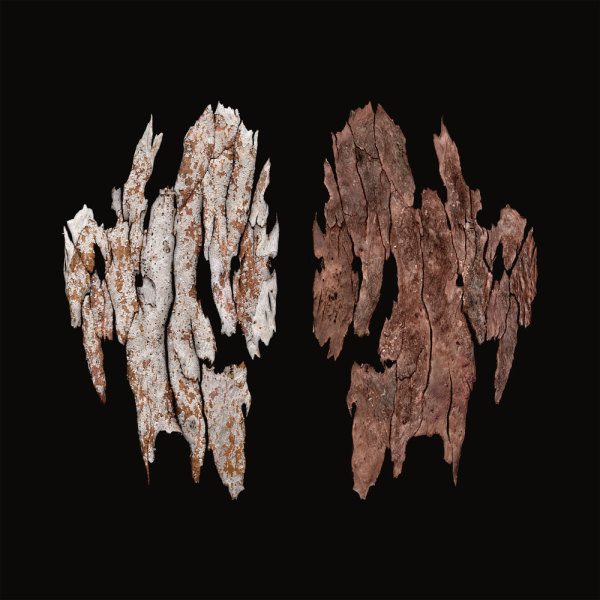 Kimberley Skin - Bungarun Leprosarium by Katie Breckon