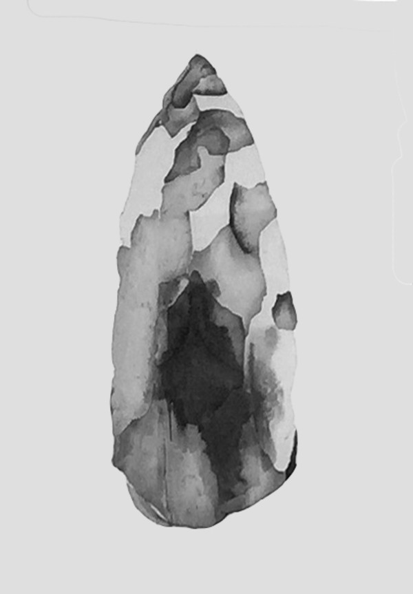 Stone Spear Tip, Worrorra, Vic Cox Collection by Katie Breckon