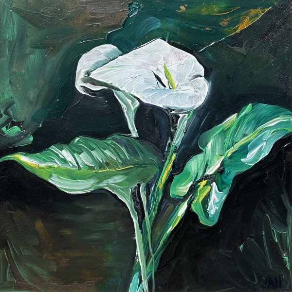 Calla Lilly by Judith Hutcheson