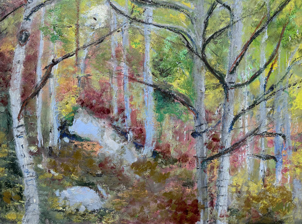 Pine Valley Woods by Judith Hutcheson