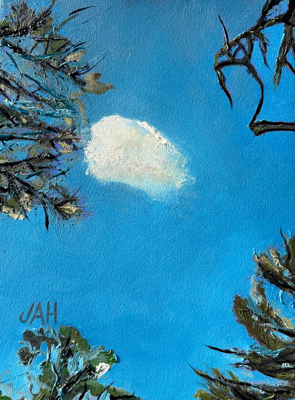 Flat on My Back (FOMB) in Pine Valley #4 by Judith Hutcheson