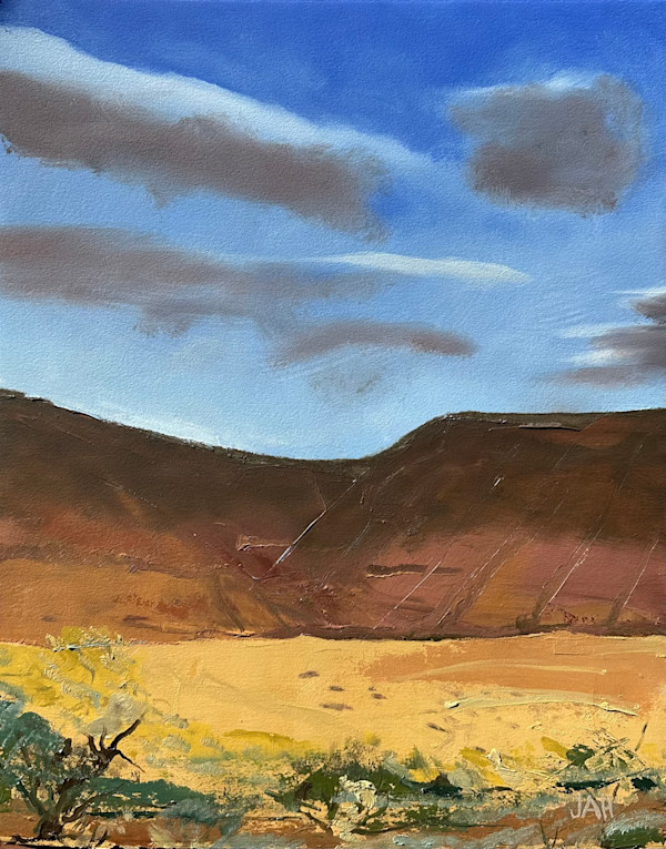 Desert Grass by Judith Hutcheson