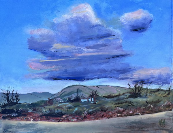 Kayenta Cloud by Judith Hutcheson