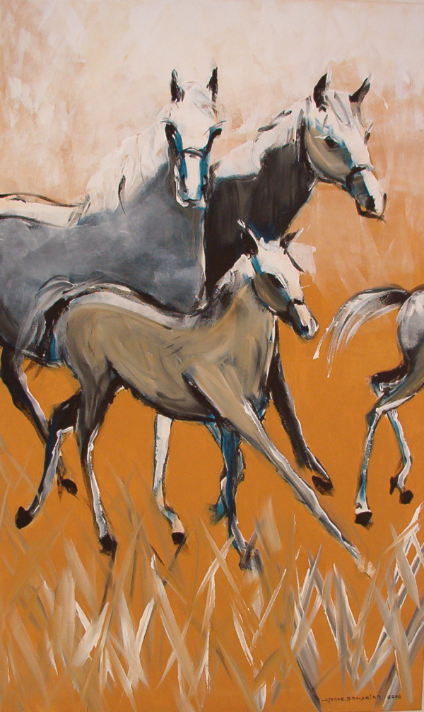 Cavalos Poltro by Jorge Bandeira