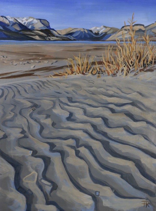 Jasper Lake Sand Waves by Pascale Robinson
