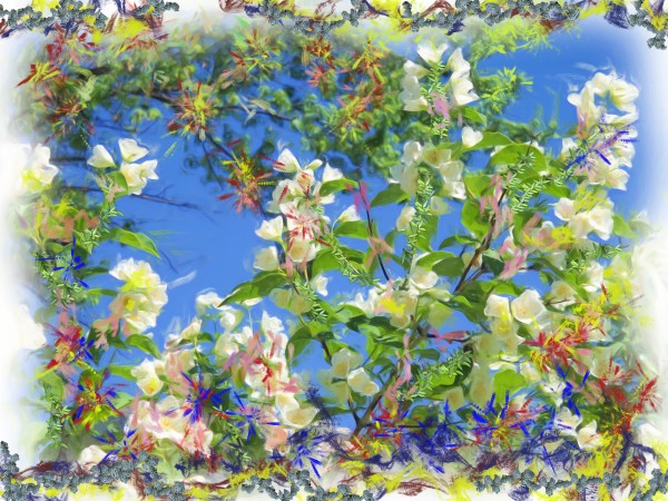 Spring Bloom by Leslie Vidas Zuehlke