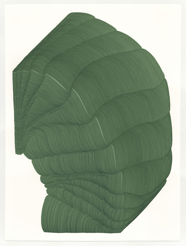 Lines 239 by Dana Piazza