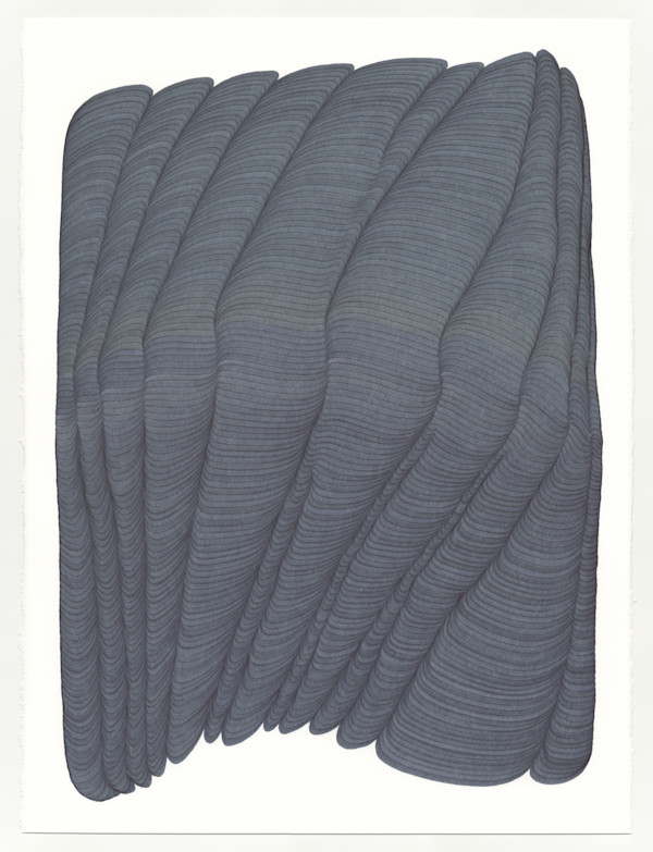 Lines 241 by Dana Piazza