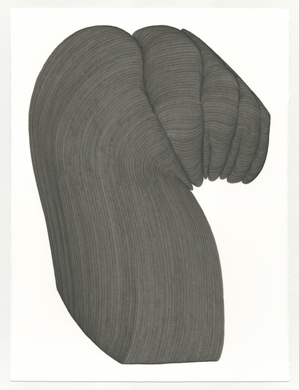 Lines 242 by Dana Piazza